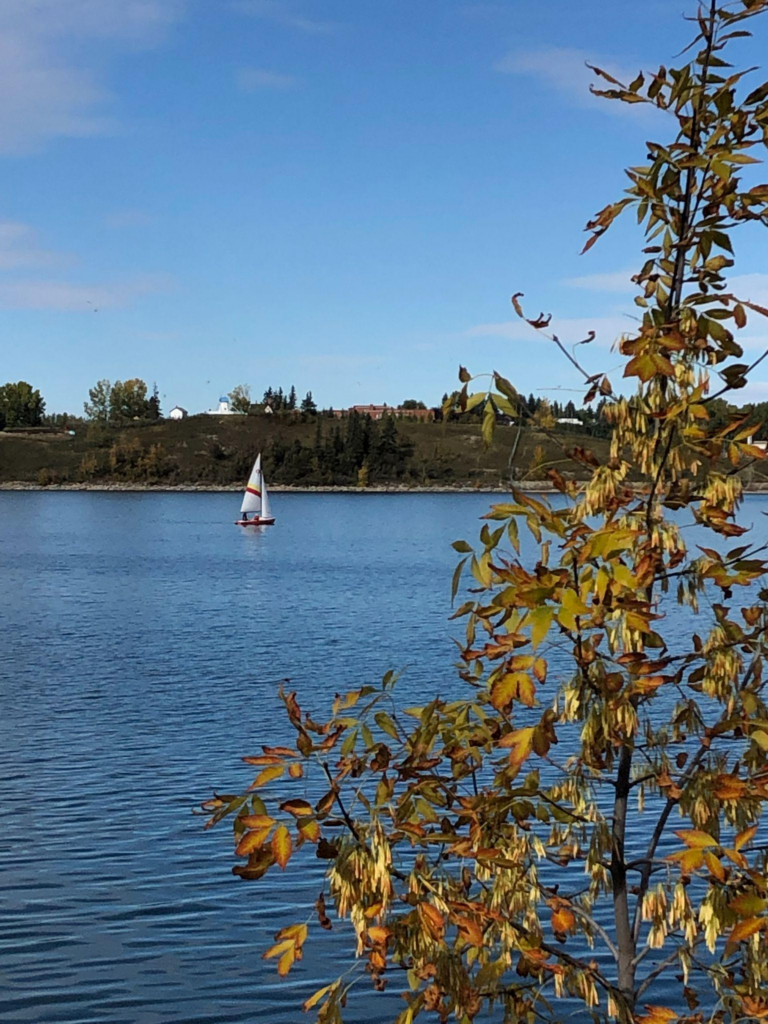 Sailboat on Glenmore Reservoir with leaves changing colour on the trees framing the water